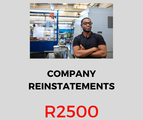 COMPANY REINSTATEMENT